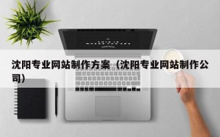 博尔塔拉沈阳专业网站制作方案（沈阳专业网站制作公司）